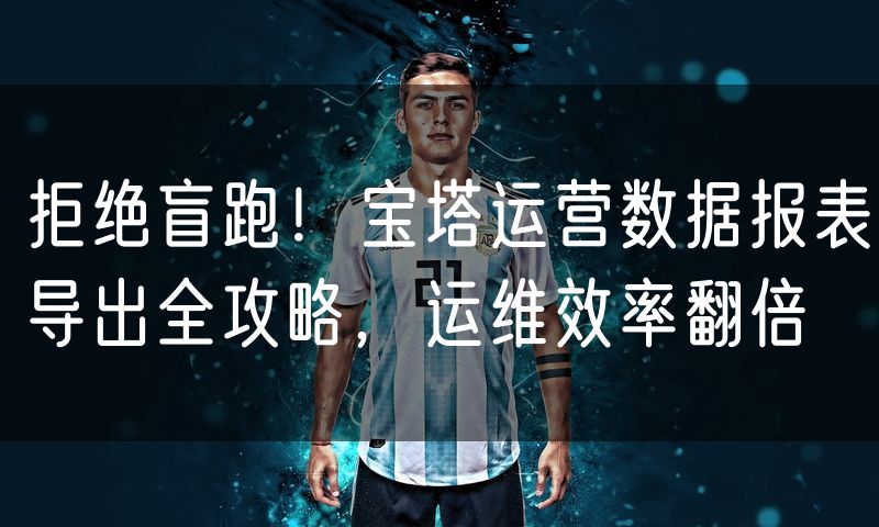 拒绝盲跑！宝塔运营数据报表导出全攻略，运维效率翻倍