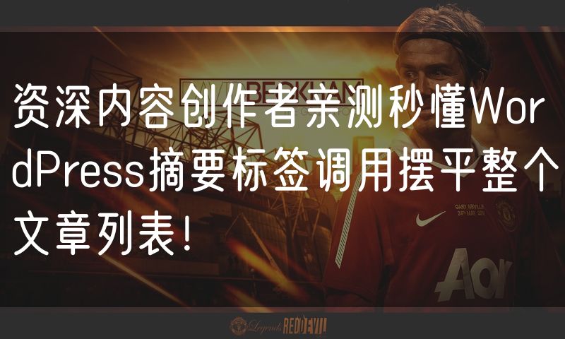 资深内容创作者亲测秒懂WordPress摘要标签调用摆平整个文章列表!