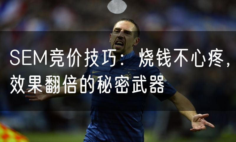 SEM竞价技巧：烧钱不心疼，效果翻倍的秘密武器(0)