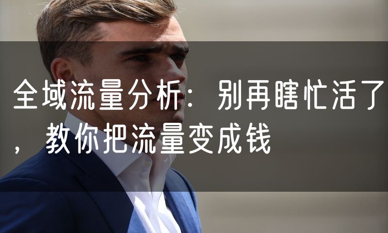 全域流量分析：别再瞎忙活了，教你把流量变成钱