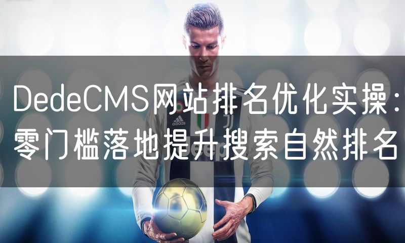 DedeCMS网站排名优化实操：零门槛落地提升搜索自然排名(8)