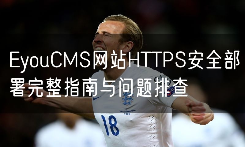 EyouCMS网站HTTPS安全部署完整指南与问题排查(10)
