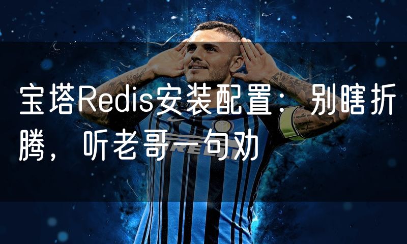 宝塔Redis安装配置:别瞎折腾,听老哥一句劝