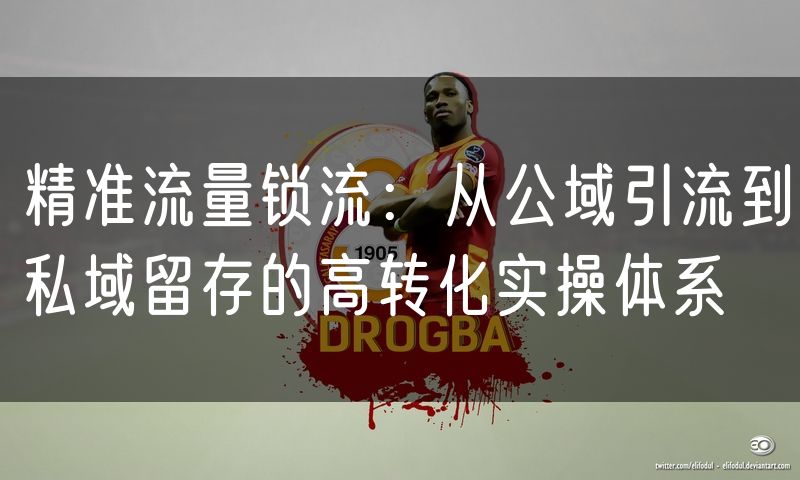 精准流量锁流：从公域引流到私域留存的高转化实操体系