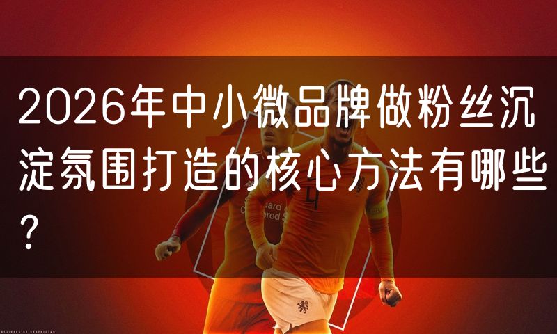 2026年中小微品牌做粉丝沉淀氛围打造的核心方法有哪些?