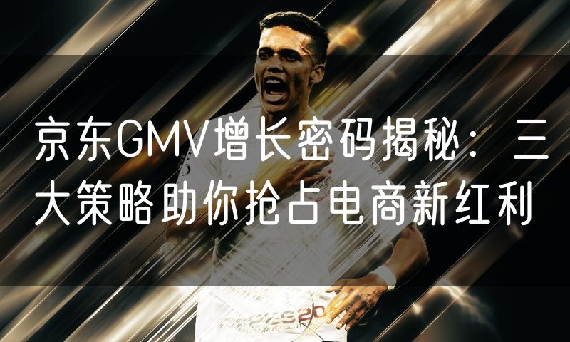 京东GMV增长密码揭秘:三大策略助你抢占电商新红利(10)