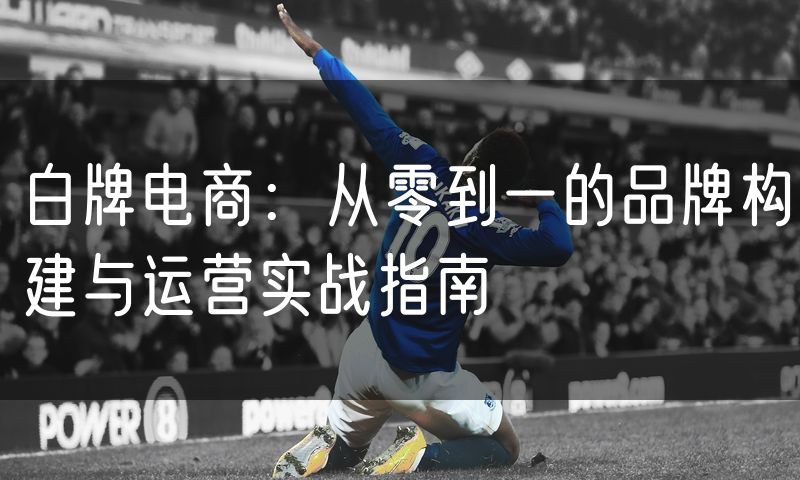 白牌电商：从零到一的品牌构建与运营实战指南(0)