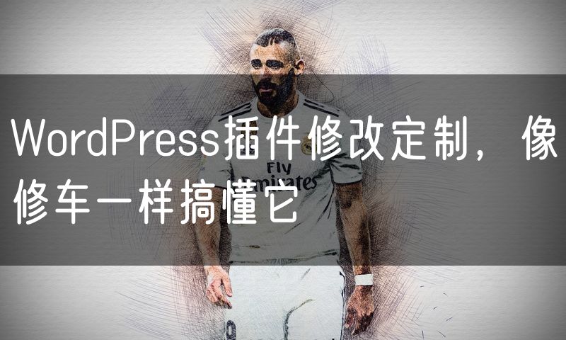 WordPress插件修改定制，像修车一样搞懂它