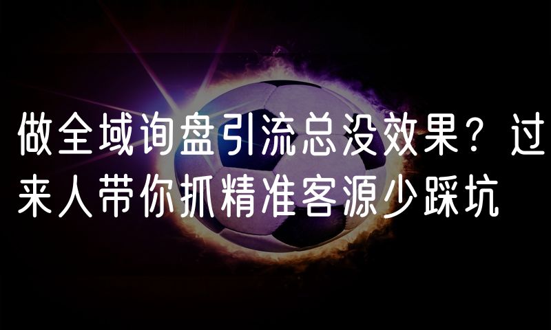 做全域询盘引流总没效果?过来人带你抓精准客源少踩坑