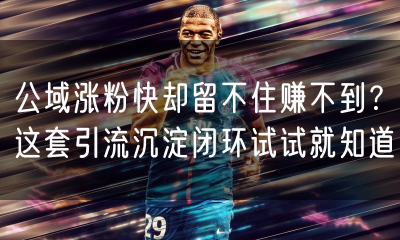 公域涨粉快却留不住赚不到?这套引流沉淀闭环试试就知道