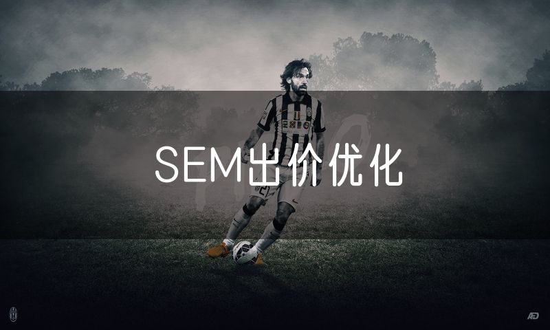 SEM出价优化
