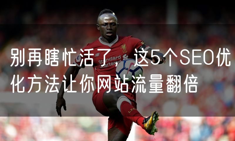 别再瞎忙活了，这5个SEO优化方法让你网站流量翻倍(11)