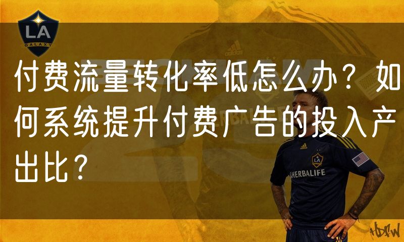 付费流量转化率低怎么办?如何系统提升付费广告的投入产出比?