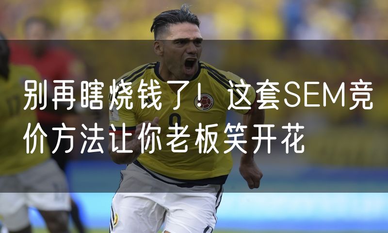 别再瞎烧钱了!这套SEM竞价方法让你老板笑开花