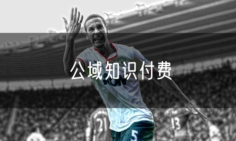 公域知识付费
