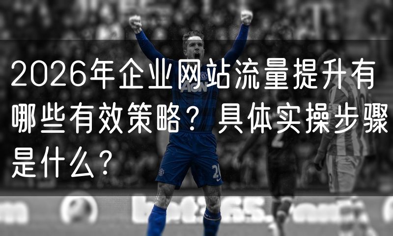 2026年企业网站流量提升有哪些有效策略？具体实操步骤是什么？
