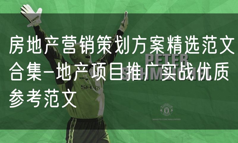 房地产营销策划方案精选范文合集-地产项目推广实战优质参考范文