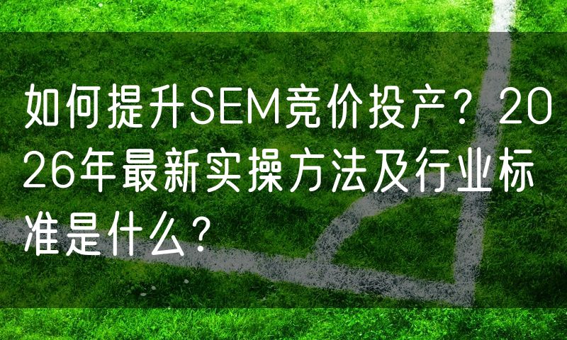 如何提升SEM竞价投产?2026年最新实操方法及行业标准是什么?(8)