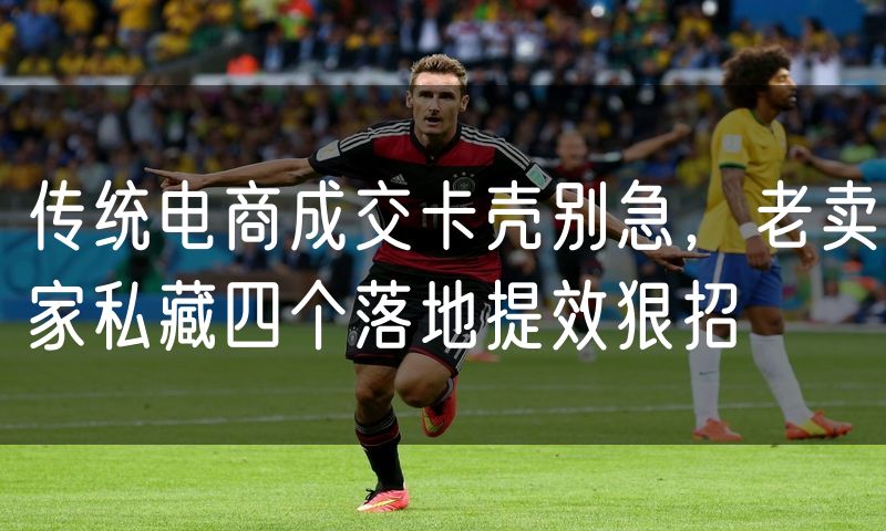 传统电商成交卡壳别急，老卖家私藏四个落地提效狠招(0)