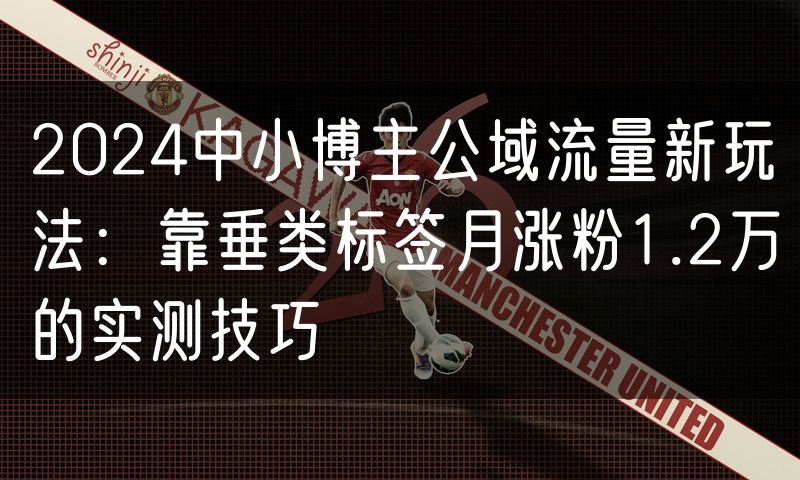 2024中小博主公域流量新玩法：靠垂类标签月涨粉1.2万的实测技巧