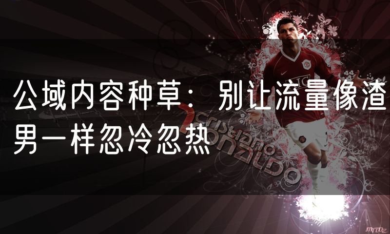 公域内容种草：别让流量像渣男一样忽冷忽热