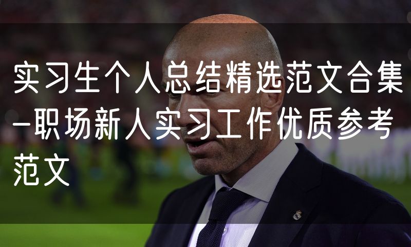 实习生个人总结精选范文合集-职场新人实习工作优质参考范文