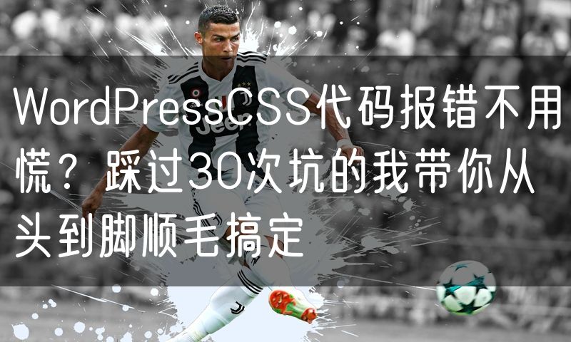 WordPressCSS代码报错不用慌？踩过30次坑的我带你从头到脚顺毛搞定