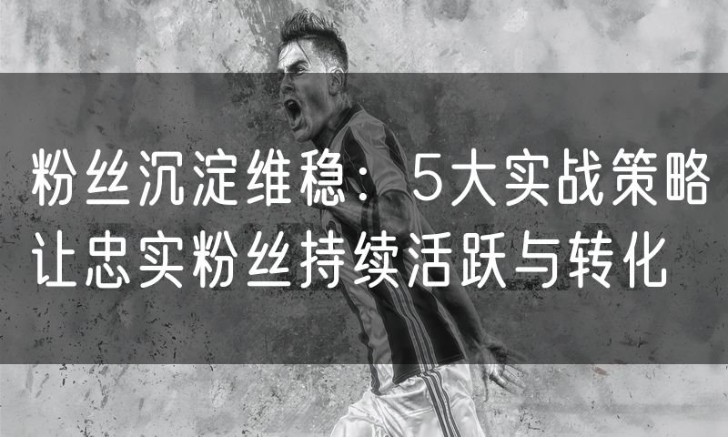 粉丝沉淀维稳：5大实战策略让忠实粉丝持续活跃与转化