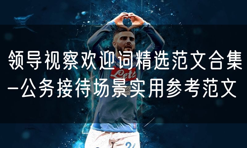 领导视察欢迎词精选范文合集-公务接待场景实用参考范文