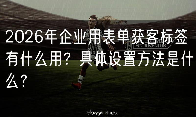 2026年企业用表单获客标签有什么用？具体设置方法是什么？(10)