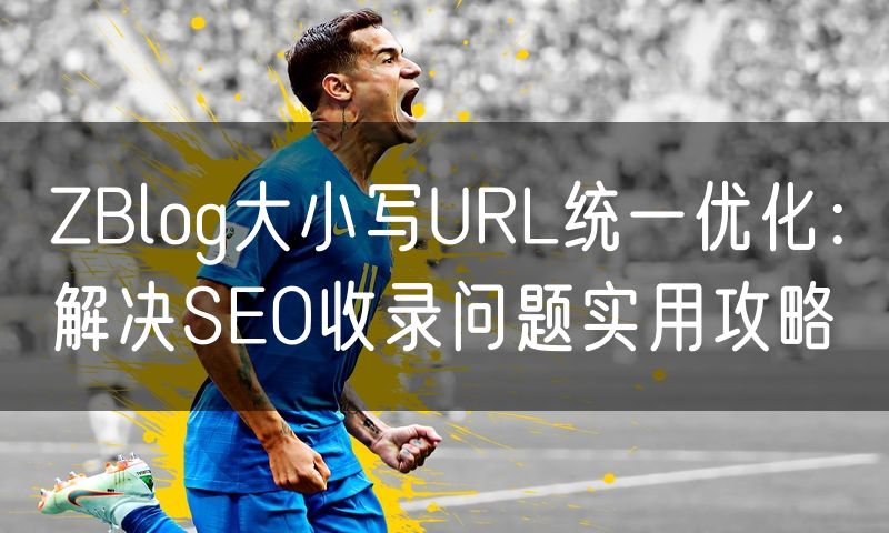 ZBlog大小写URL统一优化：解决SEO收录问题实用攻略