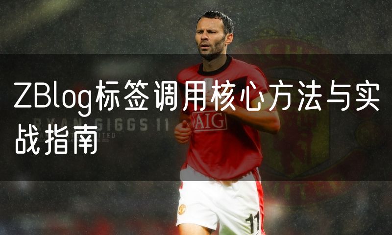 ZBlog标签调用核心方法与实战指南