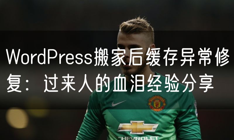 WordPress搬家后缓存异常修复：过来人的血泪经验分享