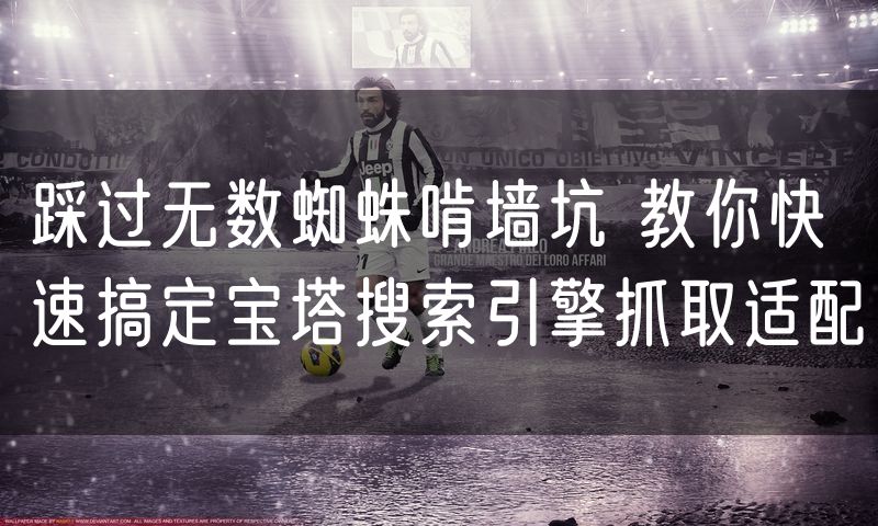 踩过无数蜘蛛啃墙坑 教你快速搞定宝塔搜索引擎抓取适配