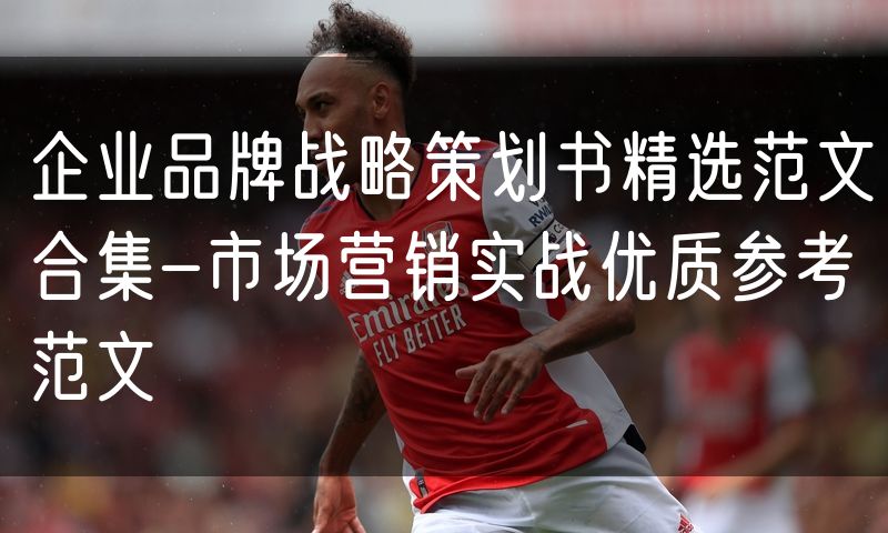 企业品牌战略策划书精选范文合集-市场营销实战优质参考范文