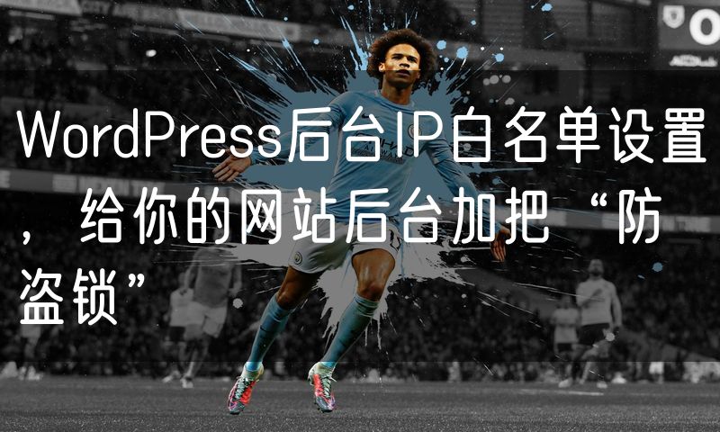 WordPress后台IP白名单设置,给你的网站后台加把“防盗锁”