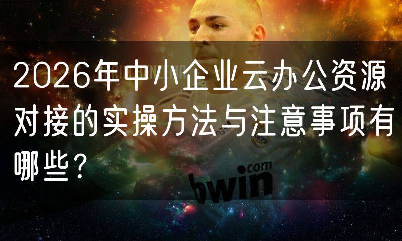 2026年中小企业云办公资源对接的实操方法与注意事项有哪些?(4)