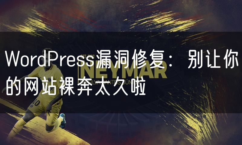 WordPress漏洞修复:别让你的网站裸奔太久啦