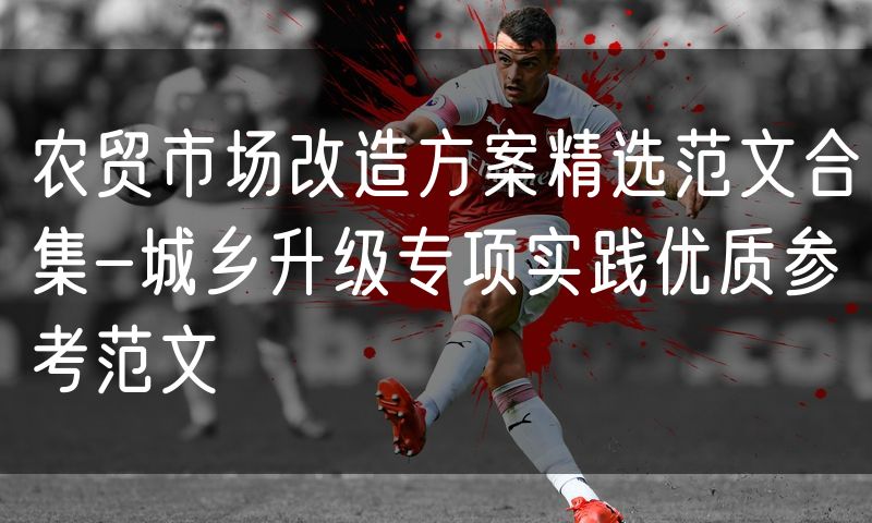 农贸市场改造方案精选范文合集-城乡升级专项实践优质参考范文