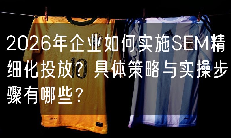 2026年企业如何实施SEM精细化投放?具体策略与实操步骤有哪些?(0)