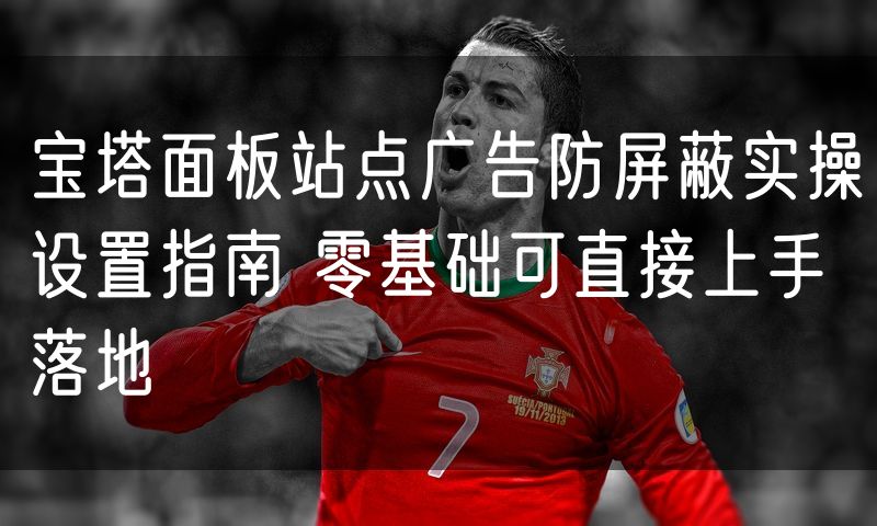 宝塔面板站点广告防屏蔽实操设置指南 零基础可直接上手落地