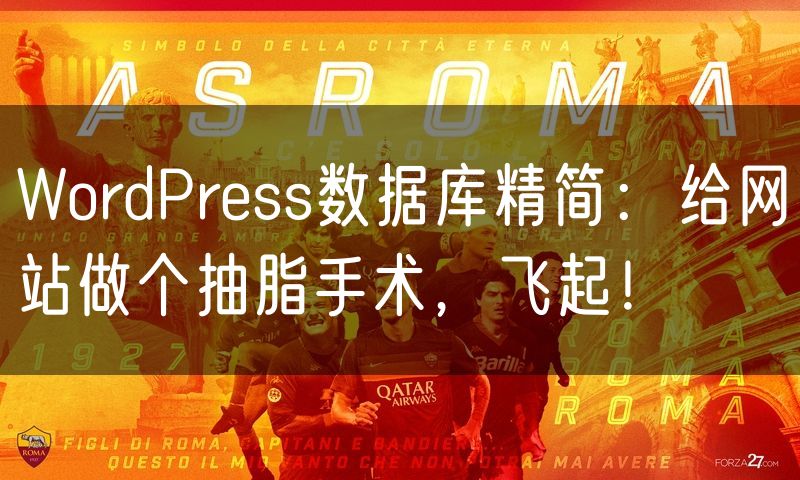 WordPress数据库精简:给网站做个抽脂手术,飞起!