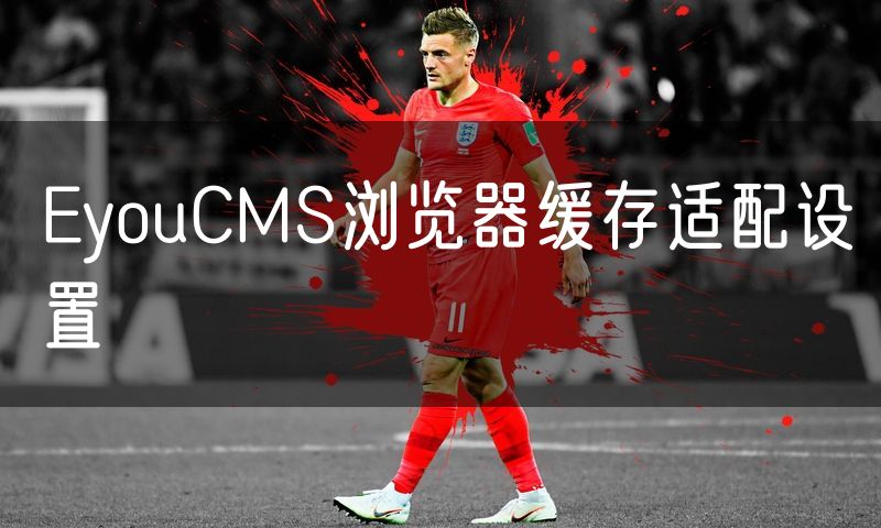 EyouCMS浏览器缓存适配设置