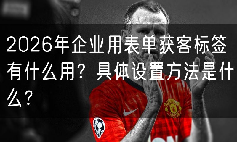 2026年企业用表单获客标签有什么用？具体设置方法是什么？(0)
