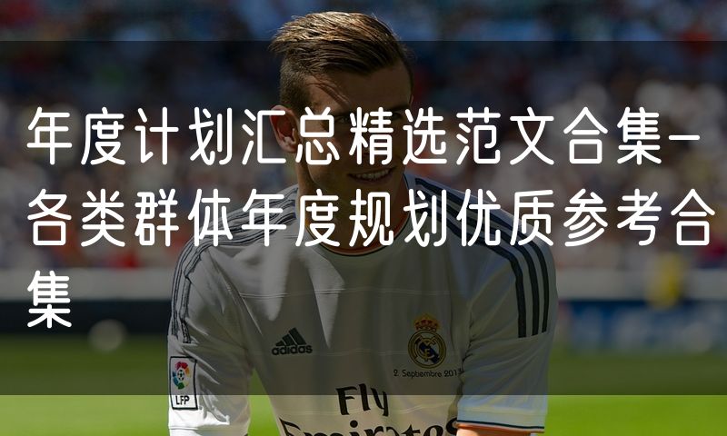 年度计划汇总精选范文合集-各类群体年度规划优质参考合集