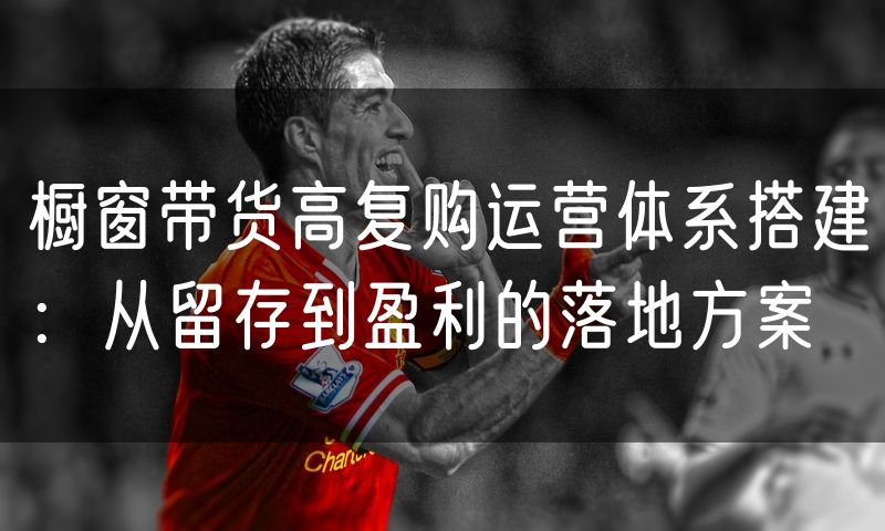 橱窗带货高复购运营体系搭建：从留存到盈利的落地方案(10)