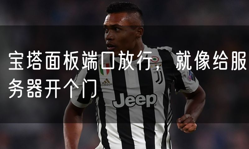 宝塔面板端口放行，就像给服务器开个门