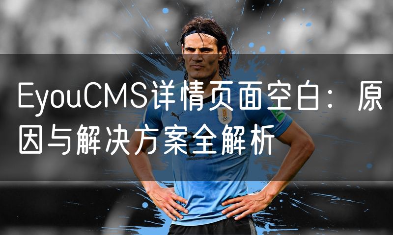EyouCMS详情页面空白：原因与解决方案全解析