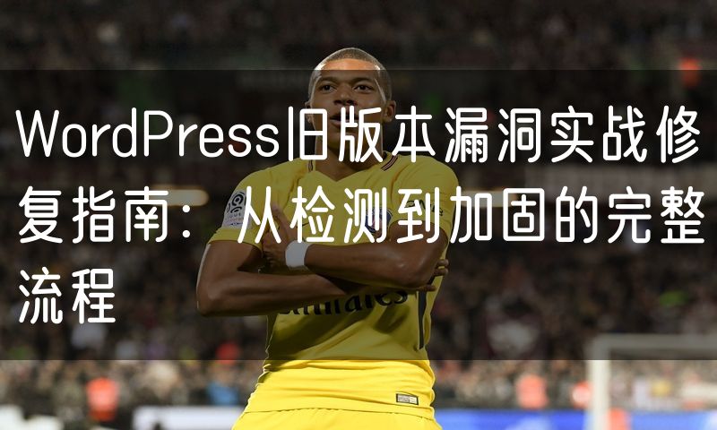 WordPress旧版本漏洞实战修复指南:从检测到加固的完整流程