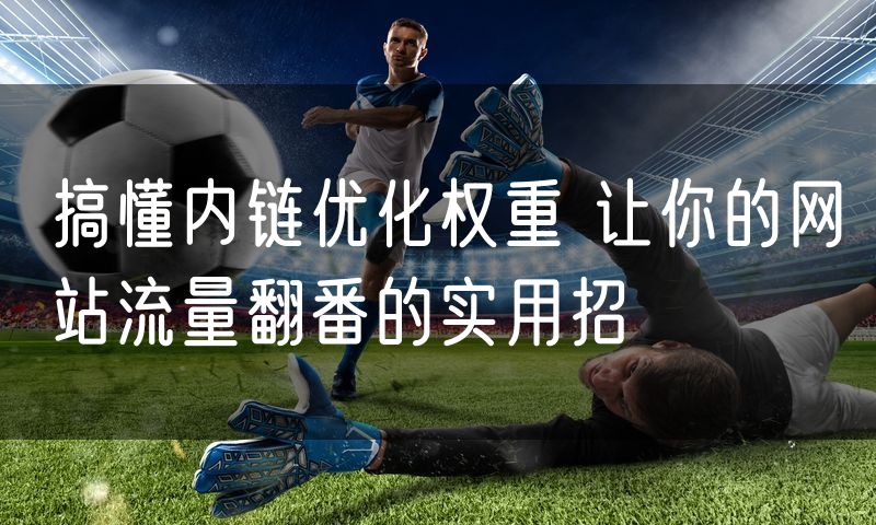 搞懂内链优化权重 让你的网站流量翻番的实用招